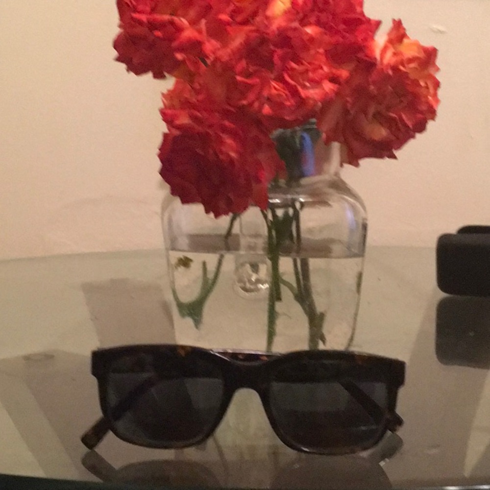 Warby Parker Paley sunglasses prescription